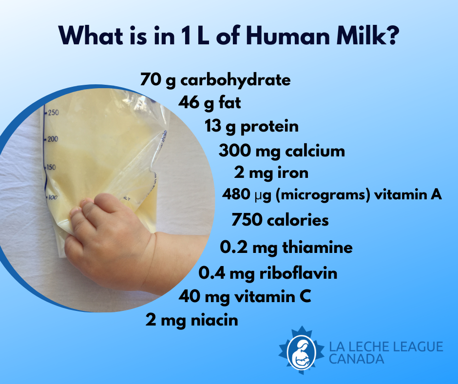 What is in Human Milk La Leche League Canada Breastfeeding